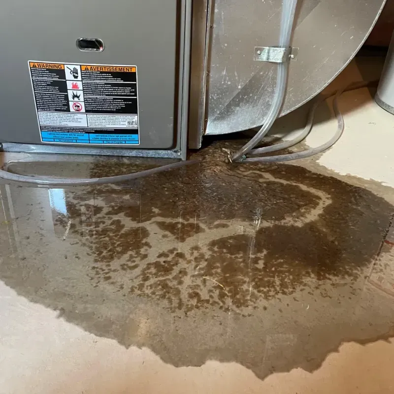 Appliance Leak Cleanup in Winner, SD